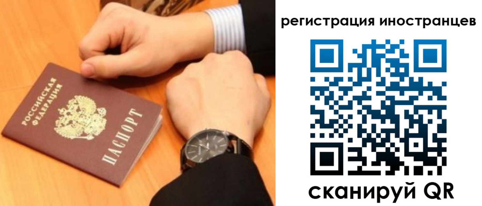 прописка гарантия в Хвалынске